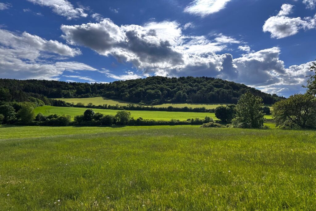 Objevte Národní přírodní rezervaci Pučanka u Hejné. Vzácné orchideje, vápencové skalky a úchvatné výhledy na Pošumaví jen pár kroků od ubytování Pod Pučankou.